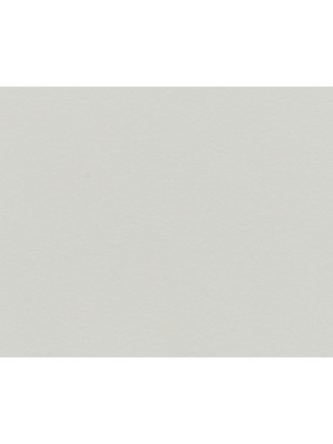 SEAL GREY